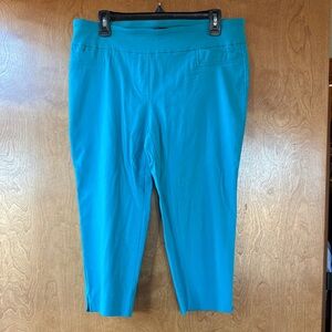 Zac & Rachel Teal Capri Pants
